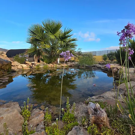 Shangri-la Fuerteventura Tefia